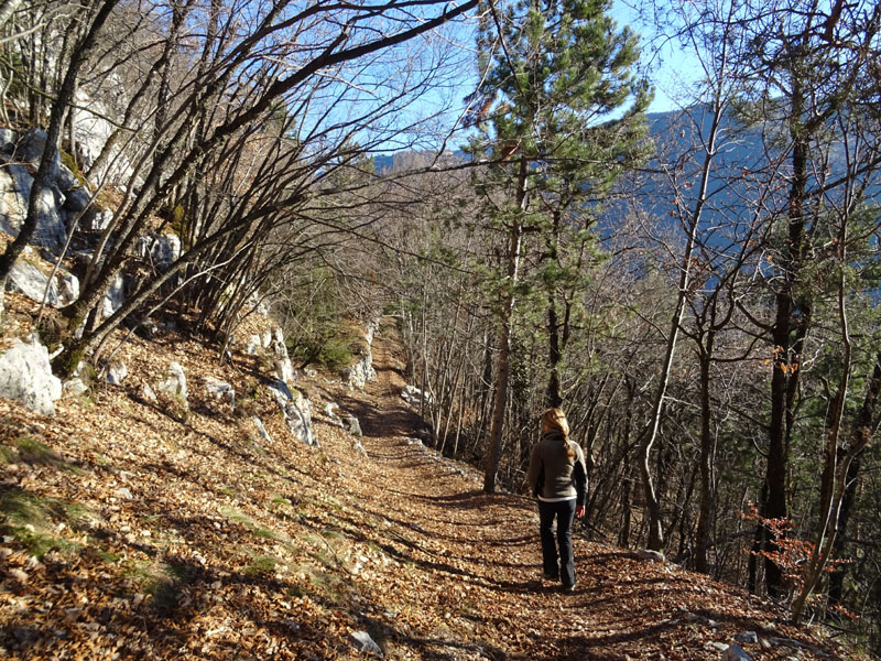 Escursioni sul Finonchio - sentiero F6